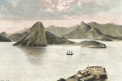 Botanical Ink Wash Drawings, Jacques Arago
