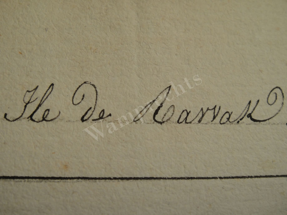 Botanical Ink Wash Drawings, Jacques Arago
