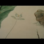 Botanical Ink Wash Drawings, Jacques Arago