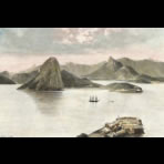 Botanical Ink Wash Drawings, Jacques Arago