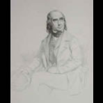Botanical Ink Wash Drawings, Jacques Arago
