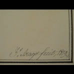 Botanical Ink Wash Drawings, Jacques Arago