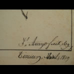 Botanical Ink Wash Drawings, Jacques Arago