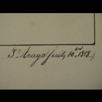 Botanical Ink Wash Drawings, Jacques Arago
