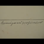 Botanical Ink Wash Drawings, Jacques Arago