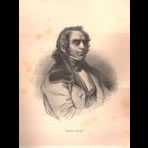 Botanical Ink Wash Drawings, Jacques Arago