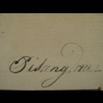 Botanical Ink Wash Drawings, Jacques Arago