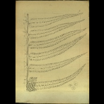 Botanical Drawings of A. Poiret