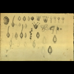 Botanical Drawings of A. Poiret