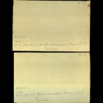 Botanical Drawings of A. Poiret