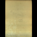 Botanical Drawings of A. Poiret