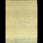 Botanical Drawings of A. Poiret