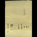 Botanical Drawings of A. Poiret
