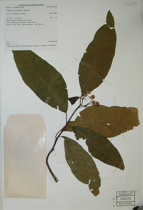 Botanical Engravings of A. Poiret