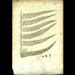 Botanical Engravings of A. Poiret