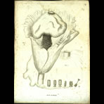 Botanical Engravings of A. Poiret