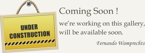 Under Construction