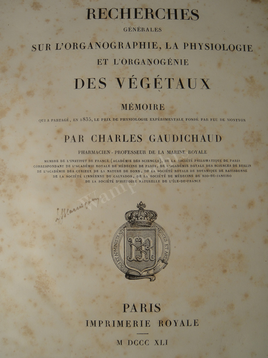 Watercolors & Lithographs of Borromée