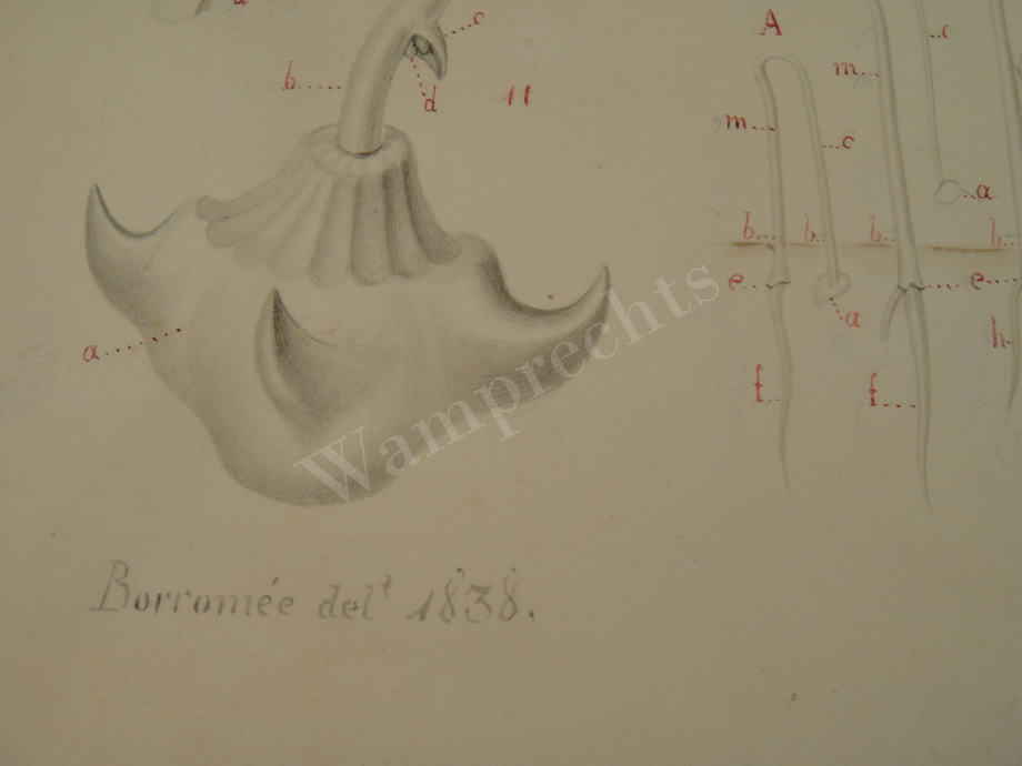 Watercolors & Lithographs of Borromée