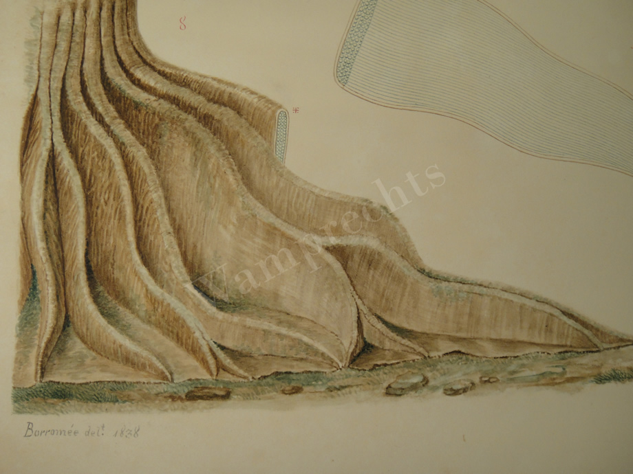 Watercolors & Lithographs of Borromée