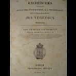 Watercolors & Lithographs of Borromée