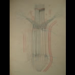 Watercolors & Lithographs of Borromée
