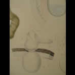 Watercolors & Lithographs of Borromée