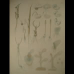 Watercolors & Lithographs of Borromée
