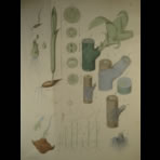 Watercolors & Lithographs of Borromée