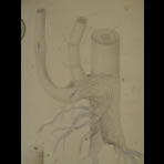 Watercolors & Lithographs of Borromée