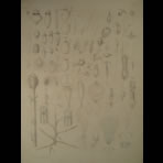 Watercolors & Lithographs of Borromée