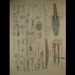 Watercolors & Lithographs of Borromée