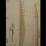 Watercolors & Lithographs of Borromée