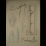 Watercolors & Lithographs of Borromée