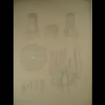 Watercolors & Lithographs of Borromée