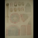 Watercolors & Lithographs of Borromée