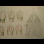 Watercolors & Lithographs of Borromée