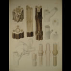 Watercolors & Lithographs of Borromée