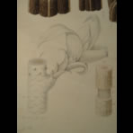 Watercolors & Lithographs of Borromée
