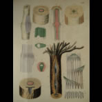 Watercolors & Lithographs of Borromée