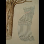 Watercolors & Lithographs of Borromée