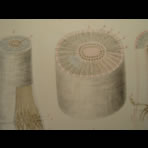 Watercolors & Lithographs of Borromée