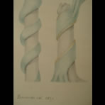 Watercolors & Lithographs of Borromée