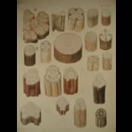 Watercolors & Lithographs of Borromée