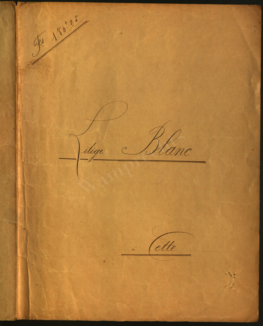 Scientific Notes of Gaudichaud Beaupré