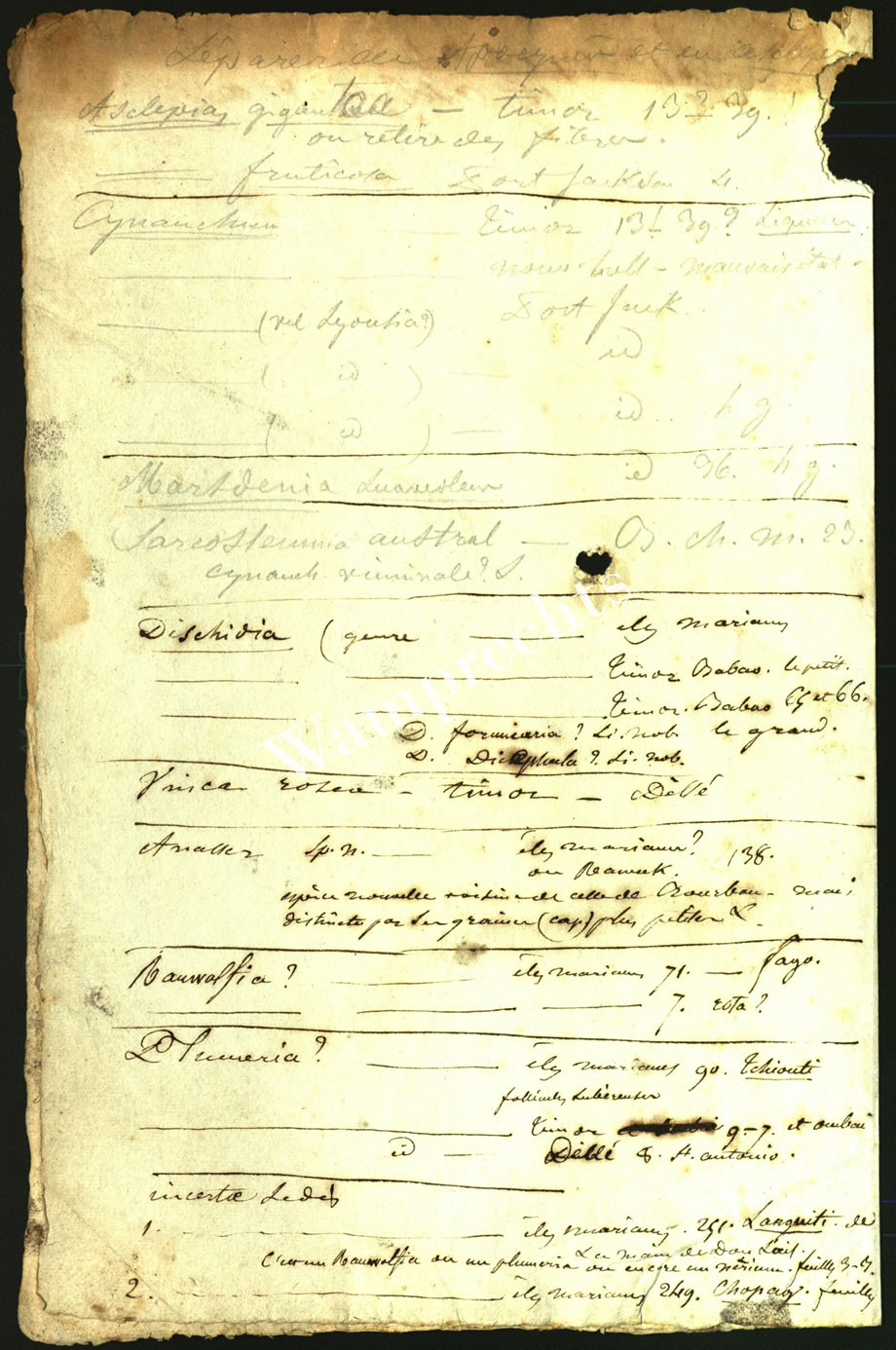 Scientific Notes of Gaudichaud Beaupré