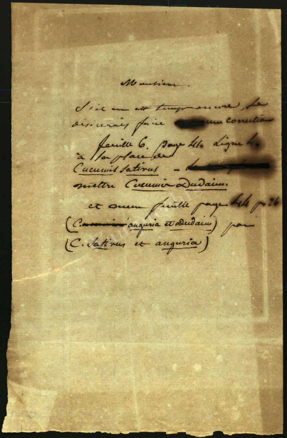 Scientific Notes of Gaudichaud Beaupré