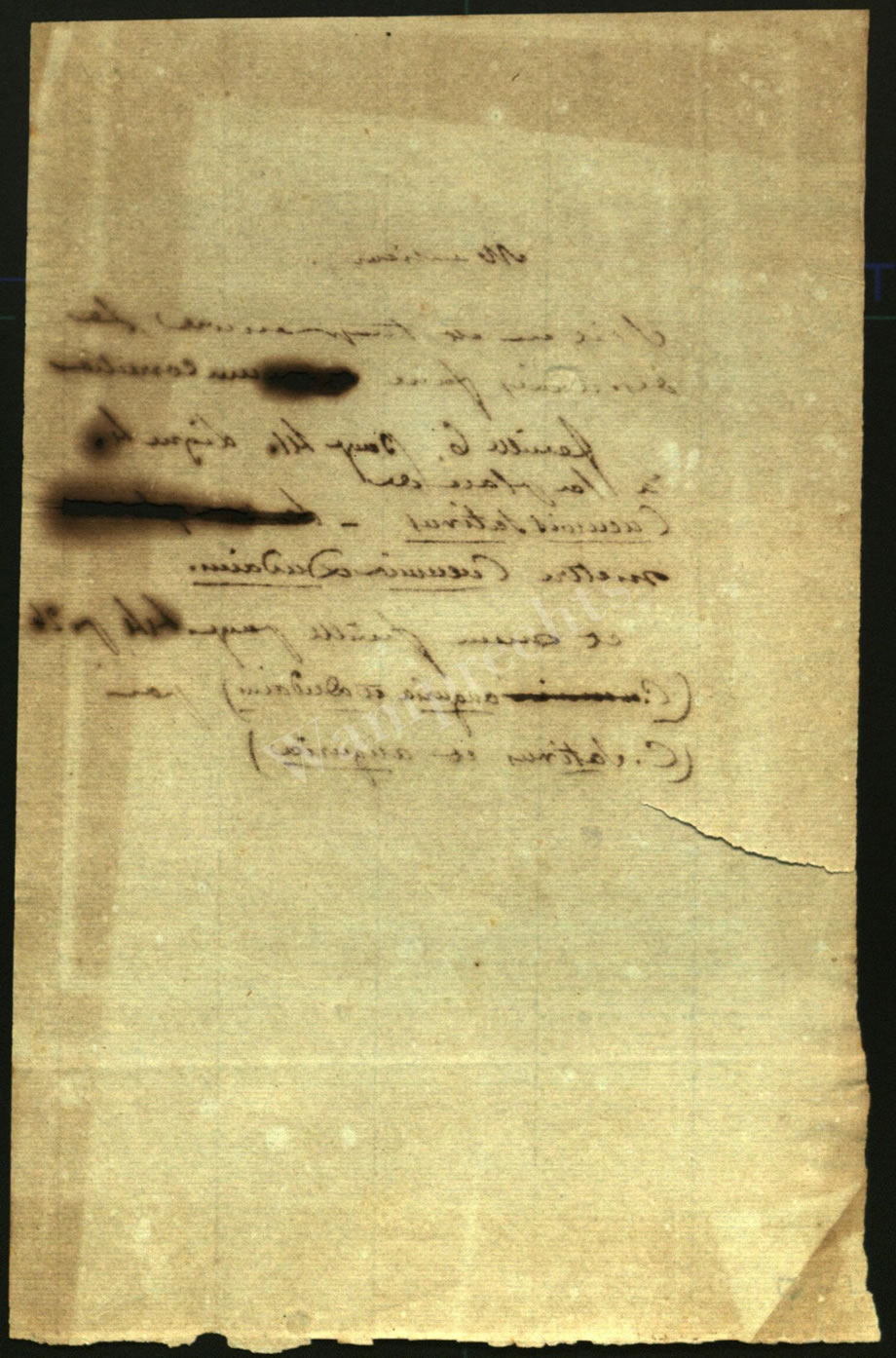 Scientific Notes of Gaudichaud Beaupré