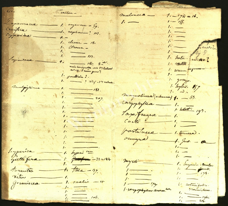 Scientific Notes of Gaudichaud Beaupré