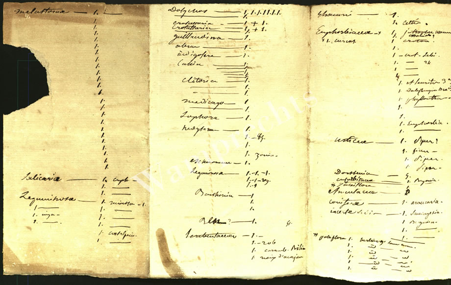 Scientific Notes of Gaudichaud Beaupré